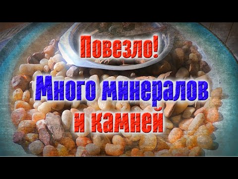 Видео: Собираю минералы и камни после зимы на отмели древнего моря.