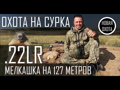Видео: ОХОТА НА СУРКА 2022 с мелкашкой .22LR
