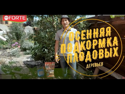 Видео: Осенняя подкормка плодовых деревьев - осенние удобрения Bona Forte