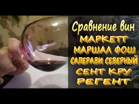 Видео: Виноград МАРКЕТТ чем можно заменить? Сравнение вин МАРКЕТТ/ МАРШАЛ ФОШ/ САПЕРАВИ С./СЕНТ КРУ/ РЕГЕНТ