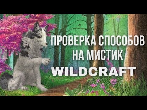 Видео: Проверка способов на мистик #2