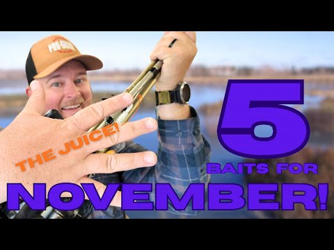 Видео: Поймайте БОЛЬШЕ ОКУНЯ, закинув ЭТИ наживки в НОЯБРЕ!!