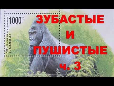 Видео: Зубастые и пушистые - 3