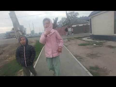 Видео: 28 октября 2025 г.