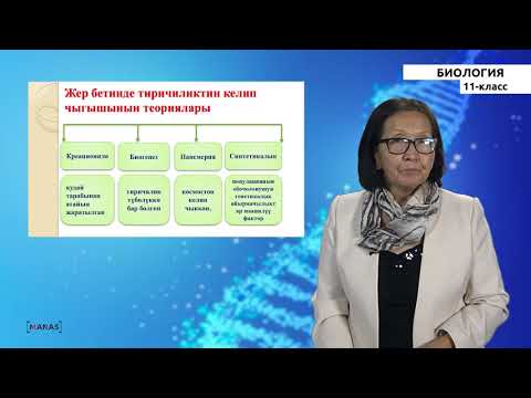 Видео: 11 класс - КГ - Биология - №1 - Эволюция тууралу түшүнүк. Тиричиликтин жер бетинде өрчүшү.