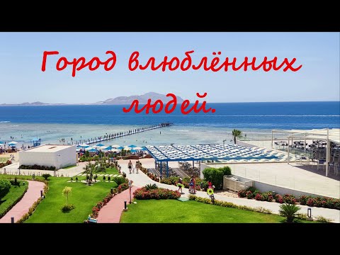 Видео: Город влюбленных людей. Караоке. Ре минор. Пиано версия.