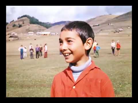 Видео: Чито-гврито. Фрагмент из фильма "Мимино"