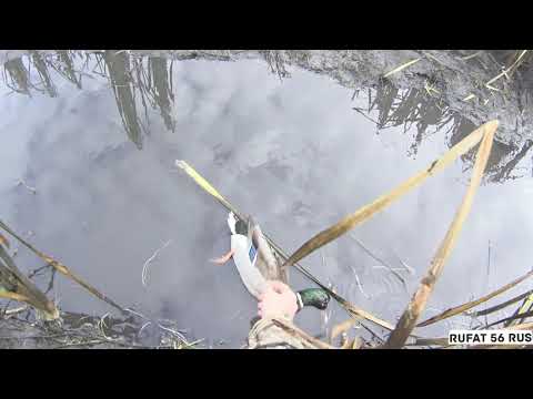 Видео: Долгожданная охота и чудеса,как они есть)💯💯💯