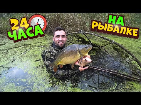 Видео: 24-Часа в Лесном лагере на рыбалке. Ловля таптухой и на поплавочные удочки.