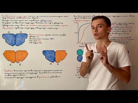 Видео: Четвертичная структура белка