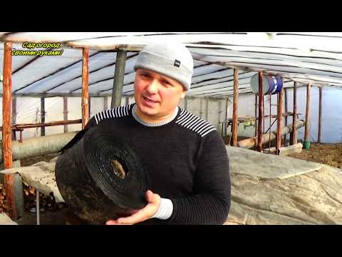 Видео: Стаканчики для рассады- два самых лучших варианта!