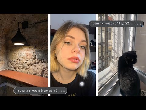 Видео: как я готовилась к высшей пробе по журналистике *учусь по 12 часов в день*