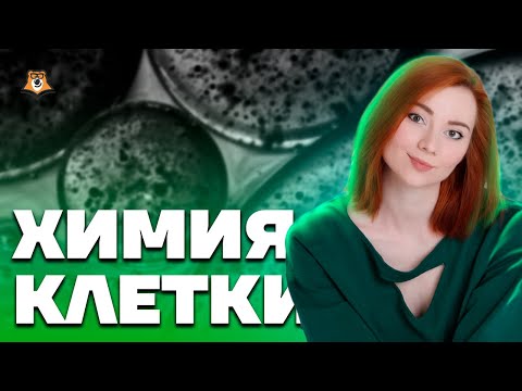 Видео: Химия клетки - первая тема для изучения | Биология ЕГЭ 2023 | Умскул