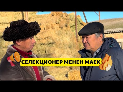 Видео: Тукуму күлүк чыгаарын билген инсан.