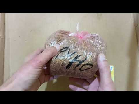 Видео: Табак-Золотое Руно средне-легкий ( как бы Болгария ) Обзор табака 2025.