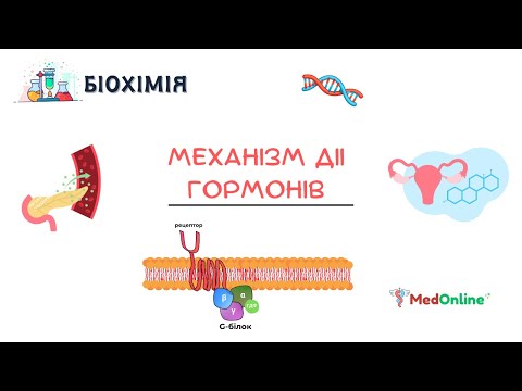 Видео: Біохімія | Механізм Дії Гормонів та Вторинні Посередники