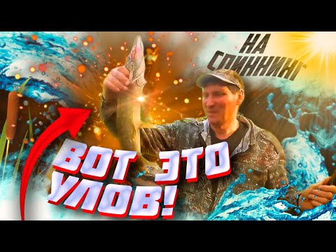 Видео: Спиннинг с Эдуардом Лобановым