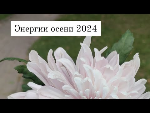 Видео: энергии осени 2024