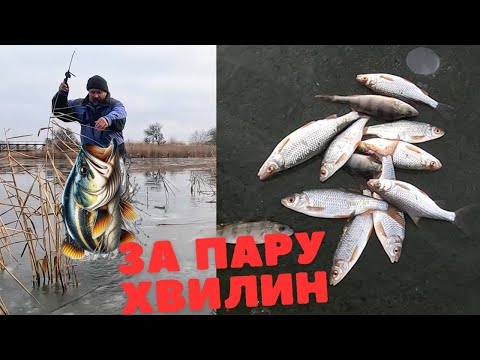 Видео: Перший успішний улов на льоду | Зимова рибалка 2025