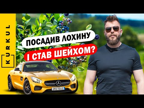 Видео: Скільки можна заробити на лохині. Органічна лохина у СВК "Ягідки" / Куркуль