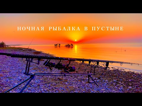 Видео: Дерзкие ночные поклёвки сазана.