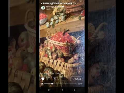 Видео: Фламандский натюрморт. Рассказывает Светлана Ольмезова. Прямые эфиры Эрмитажа.