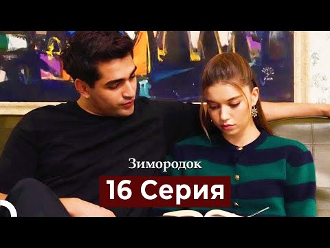 Видео: Зимородок 16 Cерия (Русский дубляж)