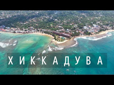 Видео: Хиккадува - русская деревня на Шри-Ланке. Место где океан встречает джунгли
