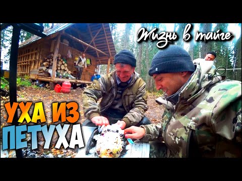 Видео: СНОВА В ЛЕСНОЙ ИЗБЕ С БРАТЬЯМИ \ ШУЛЮМ ИЗ ГУСЯ И РЫБАЛКА НАЛИМА НА ПЕРЕМЁТ И ПРОДОЛЬНИКИ