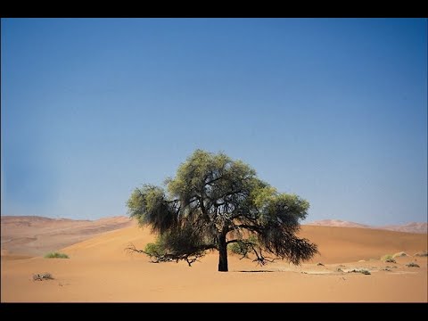 Видео: Манипуляции. Виды манипуляций. Как защититься от манипуляций