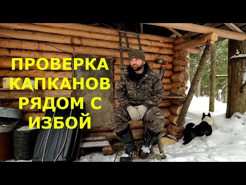 Видео: Зимняя рыбалка, охота на соболя, проверка капканов рядом с избой.