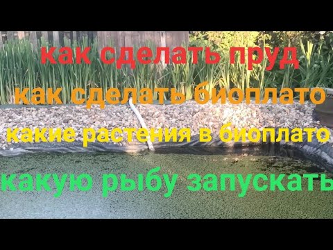 Видео: Как правильно сделать пруд. Как правильно сделать биоплато. Растения для биоплато. Какую рыбу запуск