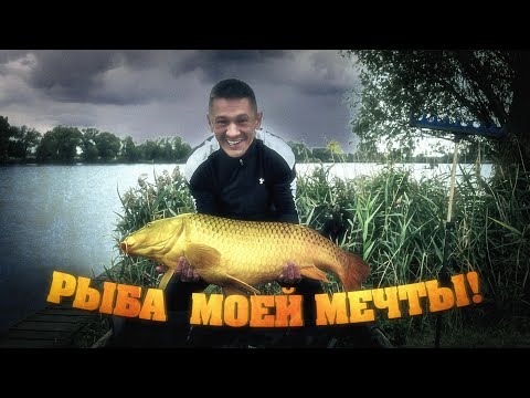 Видео: Шаман | Рыба моей мечты |