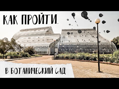 Видео: Как попасть в ботанический сад