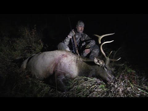 Видео: Охота на Алтае. Часть 2. Марал.