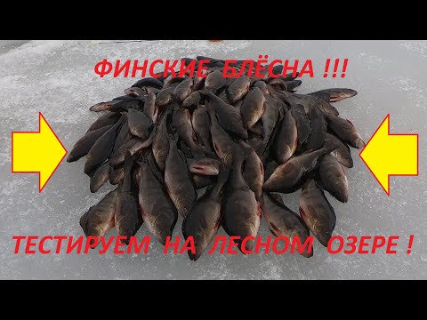 Видео: Блёсна с крючком на цепочке по окуню #РыболовныйГид #РыбалкаКруглыйГод #ФинскиеБлёсна #ПогодаКарелия