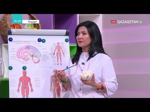 Видео: Shıpager (Шипагер) – Менингит, менингококк жұқпасы