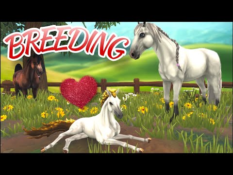 Видео: 🐴МОЙ ПЕРВЫЙ BREEDING в Star Equestrian!🥰 Снова неудача в ХЭЛЛОУИНСКОЙ конюшне😔