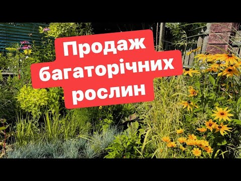 Видео: ОГЛЯД РОСЛИН НА ПРОДАЖ.ПИШІТЬ У ВАЙБЕР,ДОБАВЛЮ  В ГРУПУ 0950506727