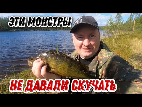 Видео: НАШЛИ озеро. Окуня ГИГАНТЫ гнут СПИННИНГ. СУПЕР рыбалка!