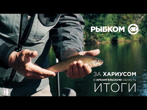Видео: Архангельская область. Новые места для рыбалки. Ловля хариуса. Часть 10 - Итоги