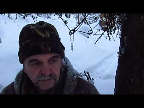 Видео: Два дня на промысле .Очень вроде ничего!!