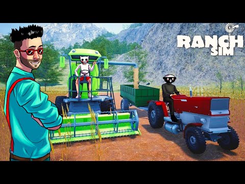 Видео: РАНЧО ПРОЦВЕТАЕТ! СОБИРАЕМ ПЕРВЫЙ УРОЖАЙ С ПОЛЯ В RANCH SIMULATOR