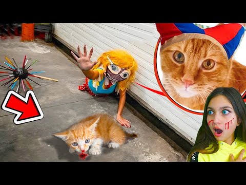 Видео: 😱 МИСС ДЕЛАЙТ НЕ СПАСЛА КОТЁНКА ЛАЙК В РЕАЛЬНОЙ ЖИЗНИ 😭 ДО СЛЁЗ КЭТНЭП ПОМНИ ПОППИ Удивительный цирк