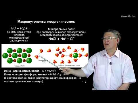 Видео: Дубынин В.А. - 100 часов школьной биологии - 1.10 Питание и обмен веществ