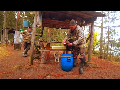 Видео: С Батей на Кордон. Две Недели в Тайге. Проверяем Сети. Поймали Бобра!