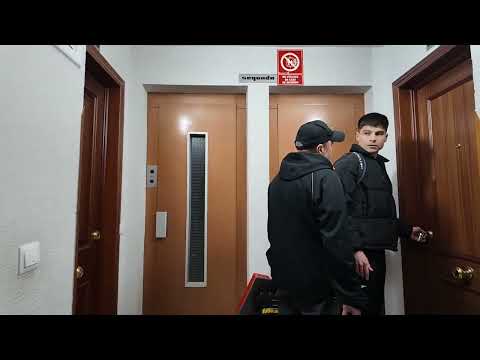 Видео: Ну вот Адам даёт просто без слов . Что твориться на квартире.