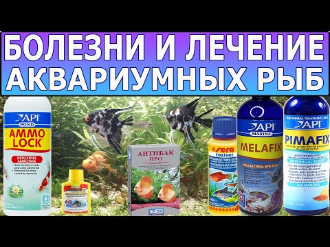 Видео: Болезни и лечение аквариумных рыб