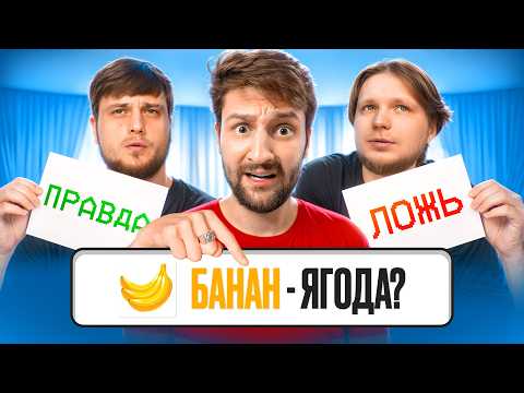 Видео: Правда или ложь челлендж! Угадай или страдай!