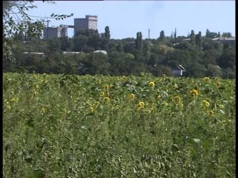 Видео: "Візит". Широке (08.09.05)